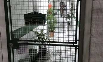 Imagem 6: Quarto sala cozinha e banheiro