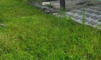 Imagem 2: Casa em Pontal Casa com 4 dormitórios