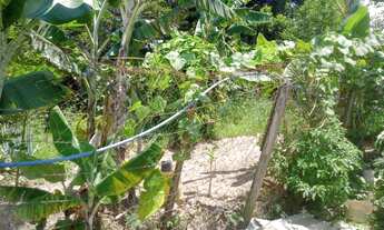 Imagem 6: Chácara para venda com 80 metros quadrados com 1 quarto em Dona Catarina - Mairinque - São