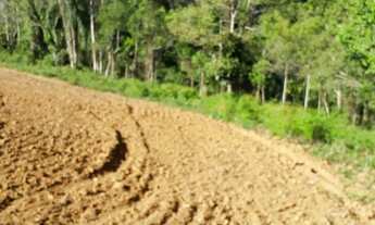 Imagem 6: Vendo ou troco terreno em Rio do Poncho, São Bonifácio