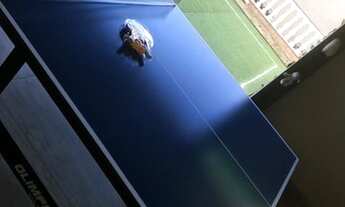 Imagem 4: Casa com habite-se próxima ao metro. Bairro Eldorado