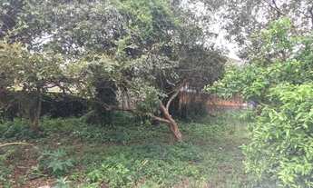 Imagem 5: Oportunidade - Aluguel de terreno Barra do Aririú