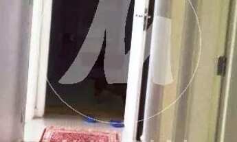 Imagem 8: Apartamento (tipo - padrao) 3 dormitórios/suite, cozinha planejada, portaria 24 horas, ele