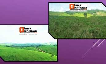 Imagem 3: FAZENDA DE 550 TAREFAS - Nossa Senhora das Dores