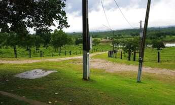 Imagem 5: Fazenda à venda