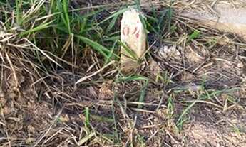 Imagem 3: VIçOSA - Terreno Padrão - Inácio Martins