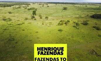 Imagem 2: Fazenda região de Duere conta com 68 alqueires