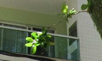 Imagem 2: Apartamento Jardim Sulacap