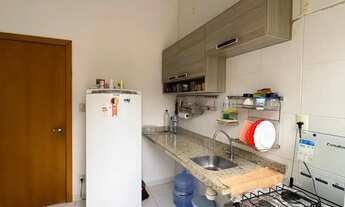 Imagem 3: NASCENTE TARUMÃ