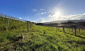 Imagem: Sitio - Bairro Tapera