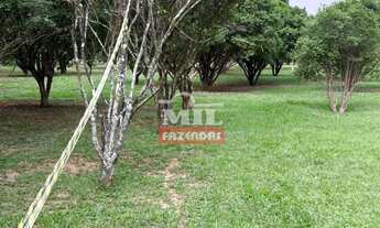 Imagem 5: Chácara 8 alqueires ( 38,72 hectares ) Aparecida de Goiânia - GO