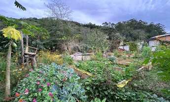 Imagem 7: Terreno à venda em Ratones, Florianópolis/SC