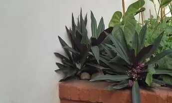 Imagem 3: Linda Casa em São Francisco com Piscina, Churrasqueira e Sauna Niterói/ RJ