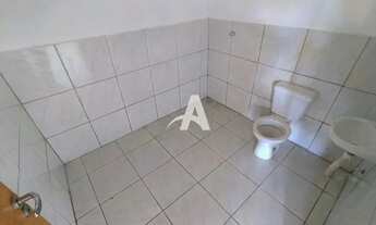 Imagem 4: Aluguel Comodo JARDIM DAS PALMEIRAS