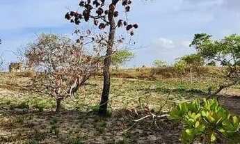 Imagem 7: Terreno à venda, 61273 m² por R$ 390.000,00 - Nossa Senhora Aparecida - Boa Vista/RR