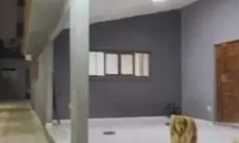 Imagem 3: Belíssima casa no Bairro dos Bancários nas Três Ruas