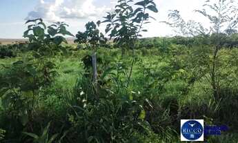 Imagem 2: Fazenda Dupla Aptidão à venda em Montes Claros de Goiás, 144 Alqueires