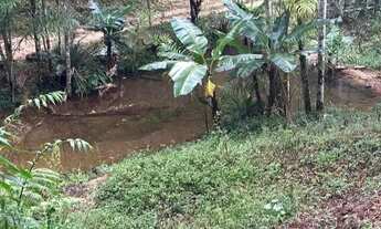 Imagem 4: Vendo sítio em Alfredo Chaves