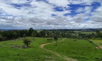 Imagem 7: Área à venda com 03 alqueires na rodovia com alto potencial de valorização