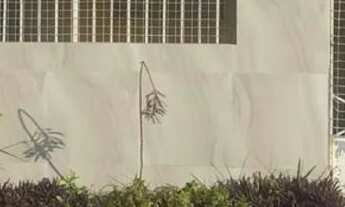 Imagem: Casa à venda - Marcos Freire II - R$ 200.000,00