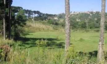 Imagem 6: CRÉDITO REAL VENDE ÁREA DE TERRAS NA RS 122- CAXIAS DO SUL