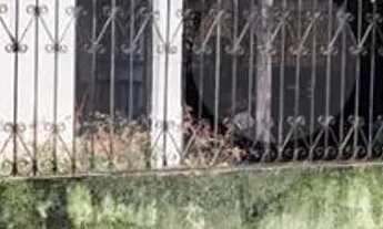 Imagem 2: Terreno à venda em Liberdade - RR