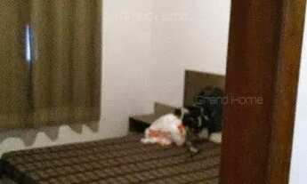 Imagem 6: Casa 6 quartos em Nova Ponta da Fruta