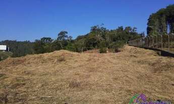 Imagem 5: AREA - PARQUE DOM HENRIQUE - SP