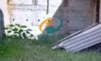 Imagem 6: Terreno em Parque Flamengo - Guarulhos, SP