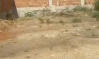 Imagem: Vendo Terreno 8 x 16 em Cosmos