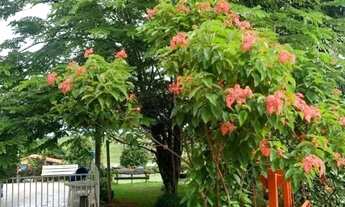 Imagem 3: Chácara de 3000 m² com 02 suítes à venda por R$ 680.000 no Setor Santa Maria - Trindade/GO