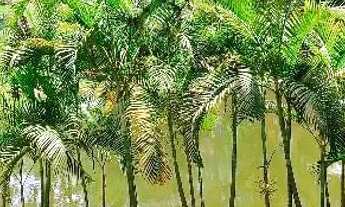 Imagem 5: Sítio em Cabreúva SP