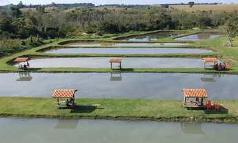 Imagem 6: Chacara Pesqueiro Margens da Rod. 376 a 6km da cidade Nova Andradina -MS