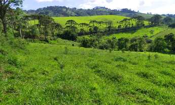 Imagem 2: Lote/Terreno para venda com 72600 metros quadrados em Sapucaí Mirim-MG - Sapucaí-Mirim