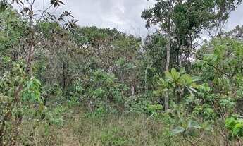 Imagem 6: Excelente Chácara á Venda Jardim Quintas Vale Verde Planaltina DF