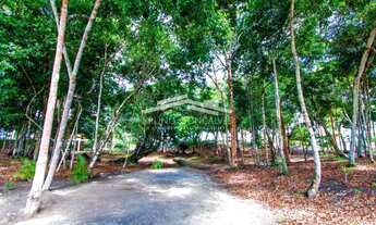 Imagem 7: Porto Seguro - Terreno Padrão