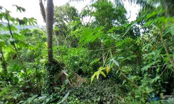 Imagem 7: Casa no bairro Armação do Pântano Sul em Florianópolis