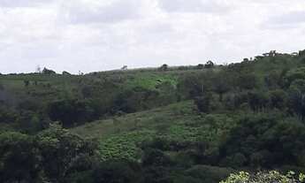 Imagem 2: Vendo um Sítio em maragogi!