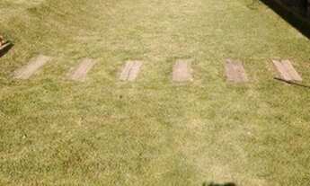 Imagem 4: Chácara à venda, 4000 m² por R$ 800.000,00 - Vila Ipê Amarelo - Contagem/MG