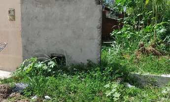 Imagem 2: Terreno em Cajupiranga