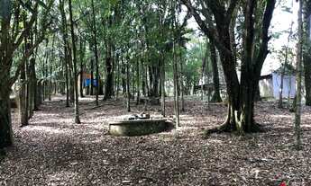 Imagem 2: CAXIAS DO SUL - Terreno Padrão - Santo Antonio