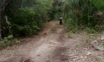 Imagem 4: Terreno mart zona rural