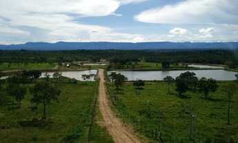 Imagem 7: Fazenda à venda