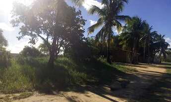 Imagem 5: Terreno Japaratinga 1km da praia - 1394m2