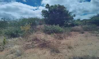 Imagem 5: Vendo terreno para chácara próximo a serra talhada