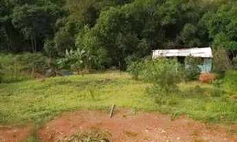 Imagem 3: Vendo Chácara 800² Piedade