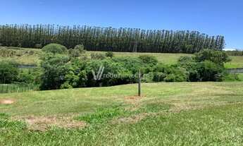 Imagem 2: Terreno - Chácara Bela Vista - Campinas