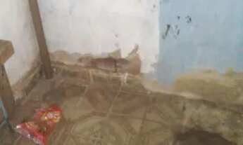 Imagem 4: Casa Casa com 1 dormitório