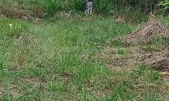 Imagem 3: Vende-se terreno no interior..