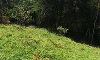 Imagem: Fazenda Bela Vista